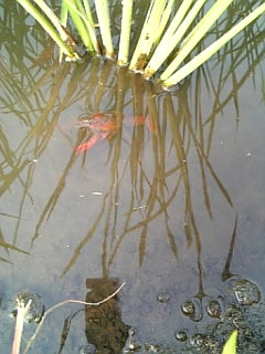 Image031.jpg