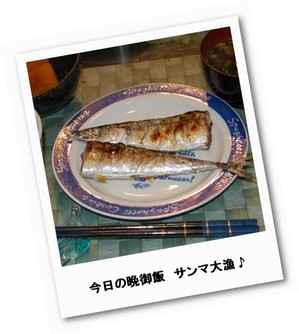 frame9183126_1.jpg